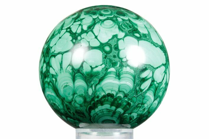 Flowery Polished Malachite Sphere - DR Congo #348892